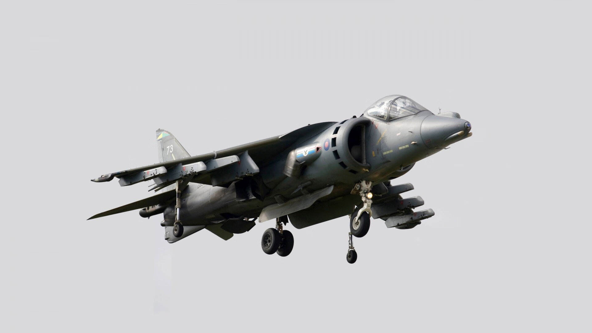 乐鱼(中国)体育官方网站-NBA联盟青训体系与国际合作发展,nba青年队