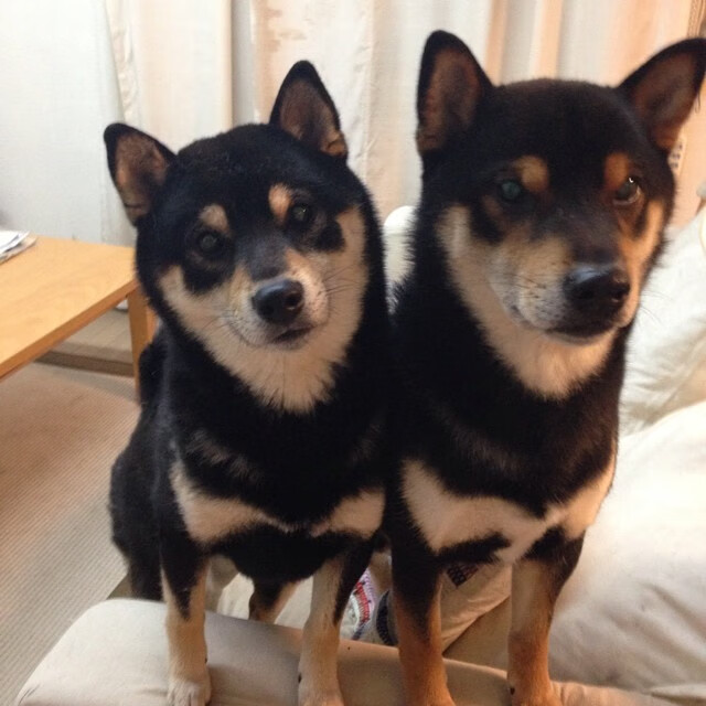 乐鱼(中国)体育官方网站-“东部新区定向越野:在大自然中与时间赛跑”