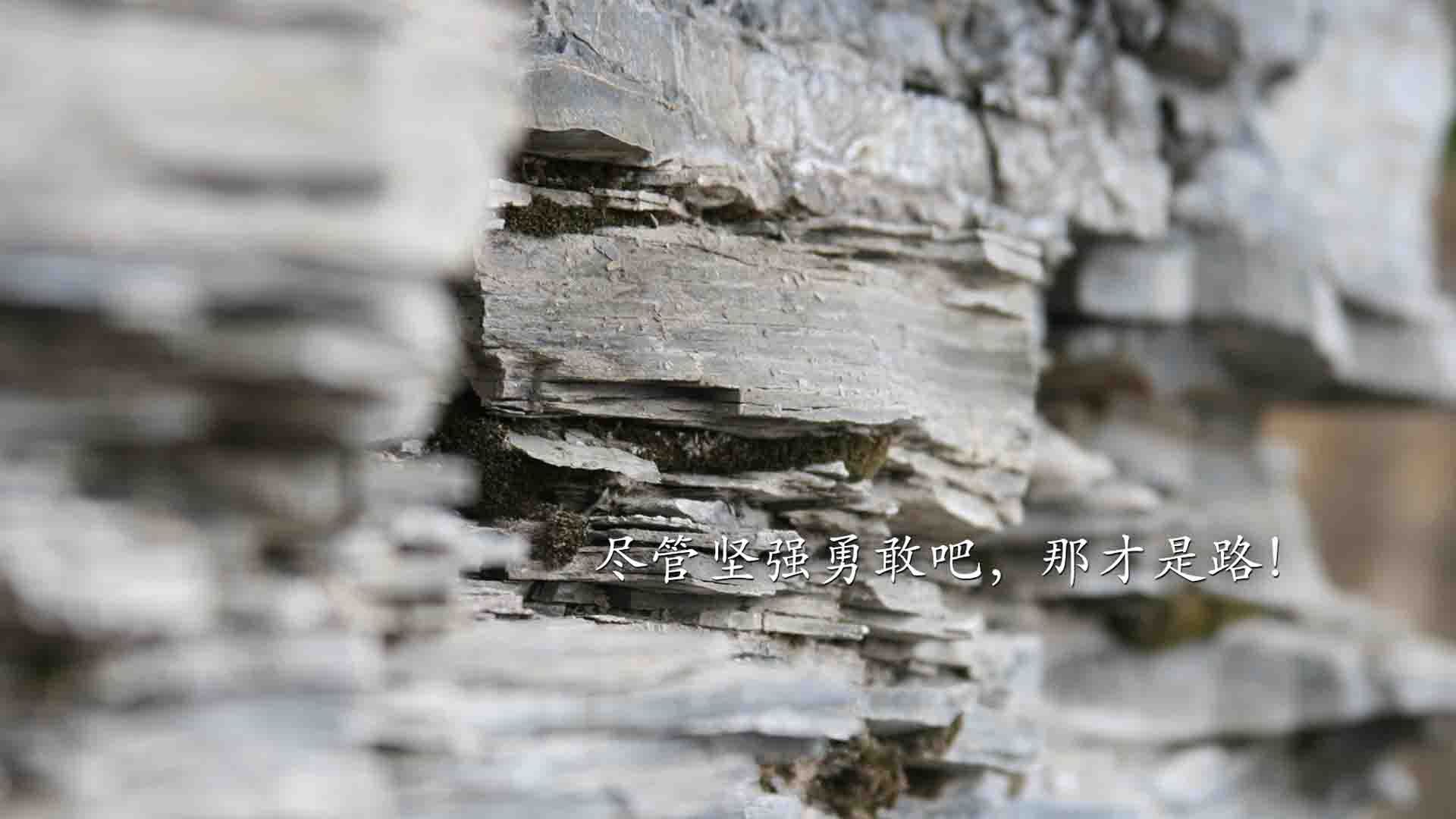 乐鱼官方登录入口-中国男篮提升轮转速度提升防守覆盖率,2021中国男篮训练