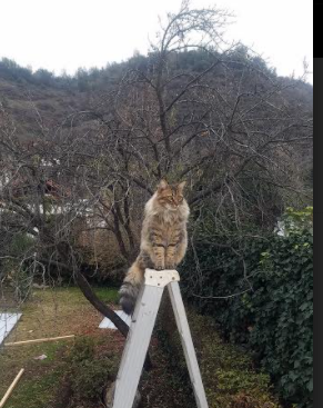 leyu乐鱼在线登录入口-控球率是否真的能决定比赛节奏并逆转胜率，控球率高就能取胜吗