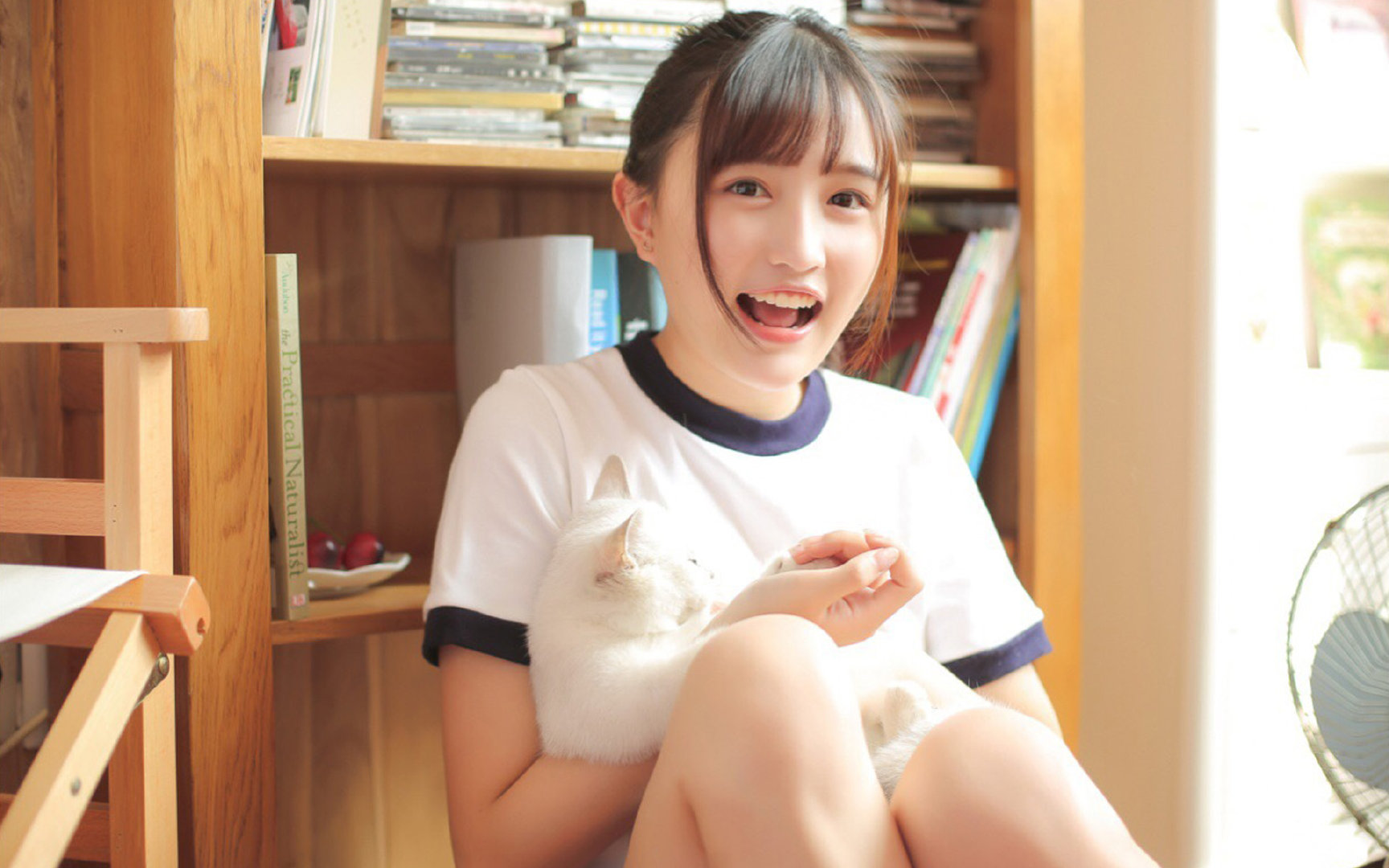 leyu乐鱼-辽宁飞豹重整旗鼓誓夺新赛季冠军，辽宁飞豹cbdl