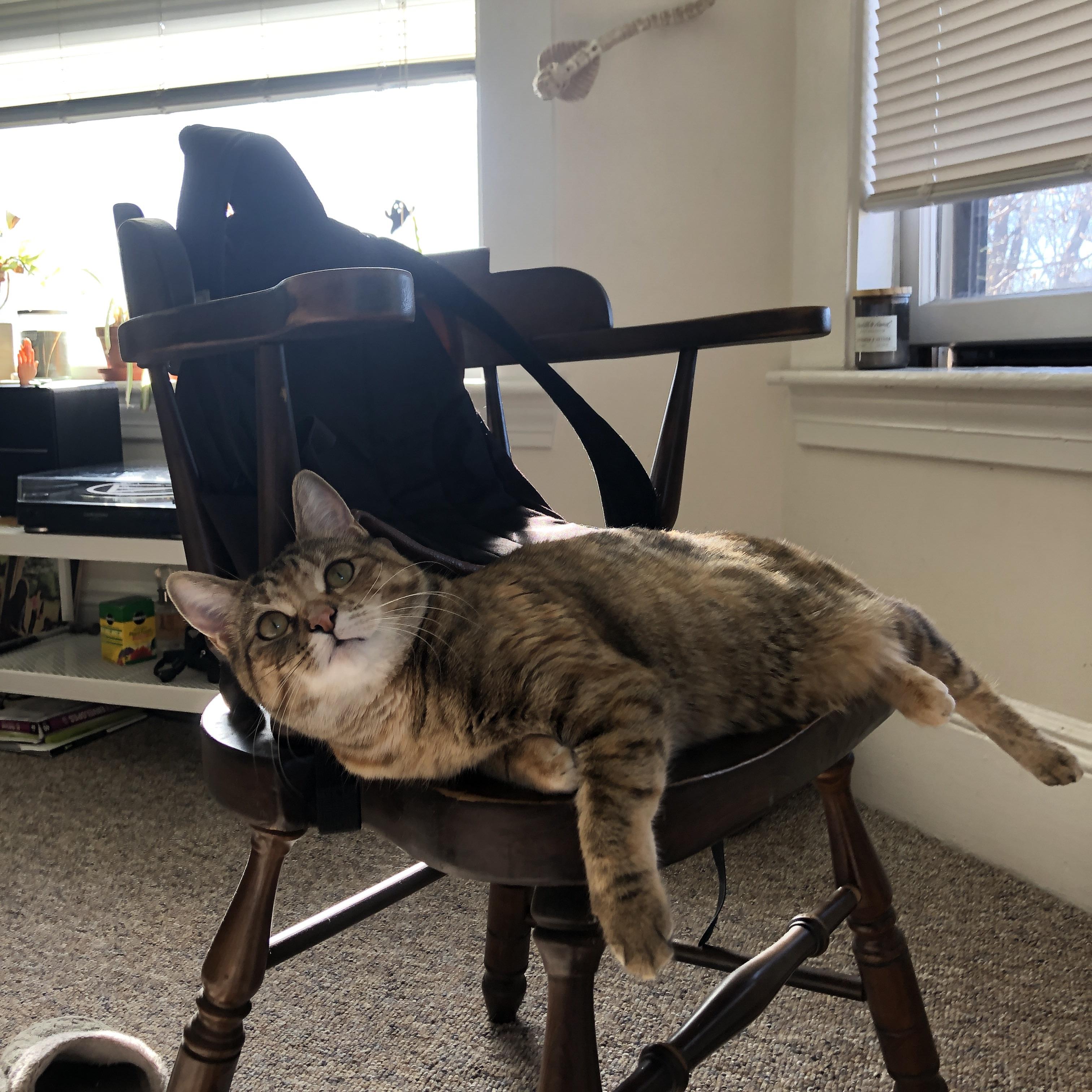 leyu乐鱼-勇士控球失误偏多险些被逆转,勇士控卫有哪些