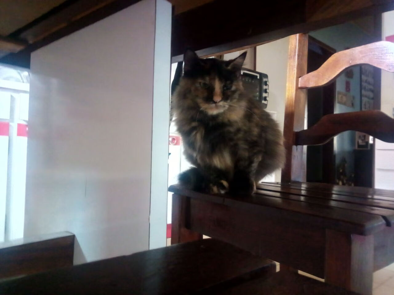 下载乐鱼体育APP-库里称球队需打出更加团队化篮球,库里尽力了队友cba