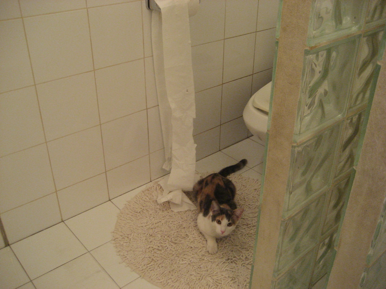 乐鱼体育(中国)官方网站-掘金阵容深度受到联盟高层一致认可，掘金队阵容名单最新