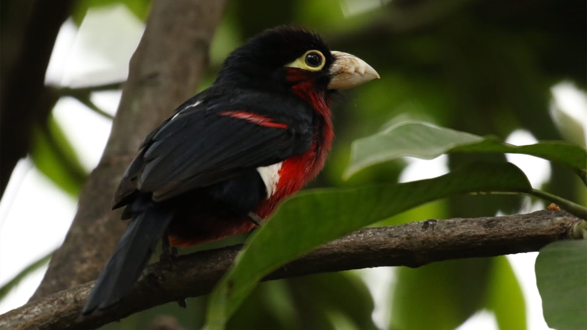 乐鱼官网-青训营注重技能细节打磨强化基本功训练，打磨技能培训