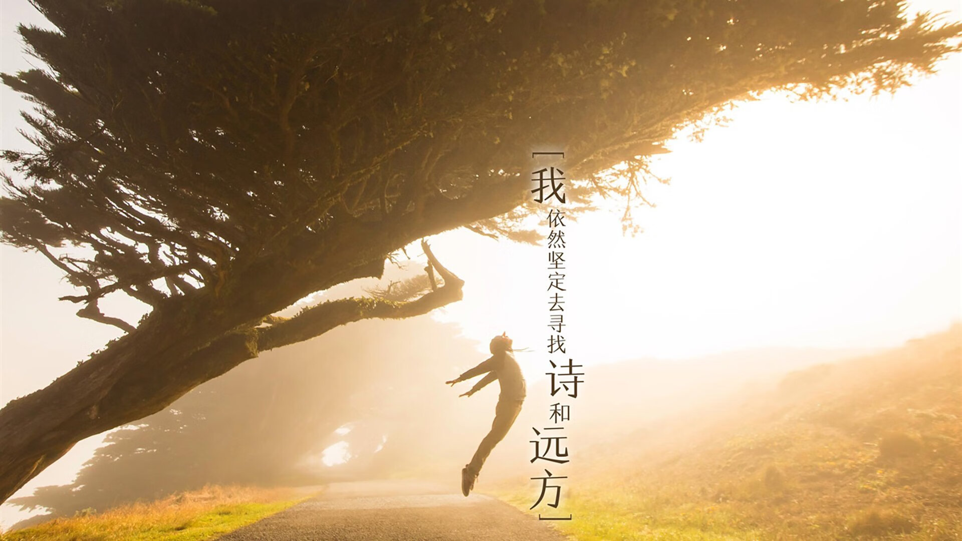 APP下载 LY Sports-1亿转会费球星欧冠首秀炸裂，尤文多特战局扑朔迷离，尤文进欧冠概率