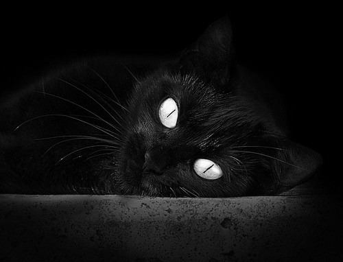 乐鱼电竞-严厉也是一种爱,赵睿训人背后的真心