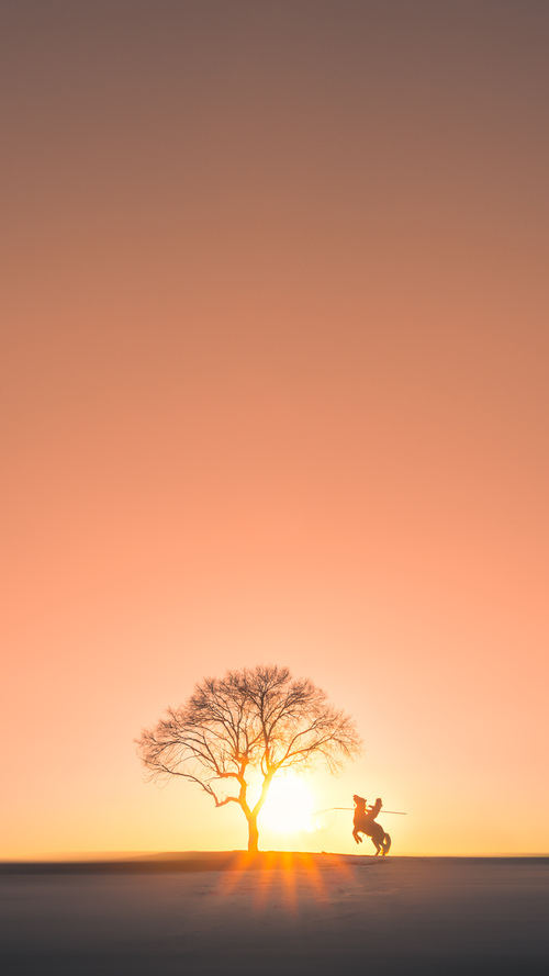 下载乐鱼体育APP-任期短似呼吸，首胜却成乌托邦——滕哈赫与药厂的短暂交锋，滕哈格曼联